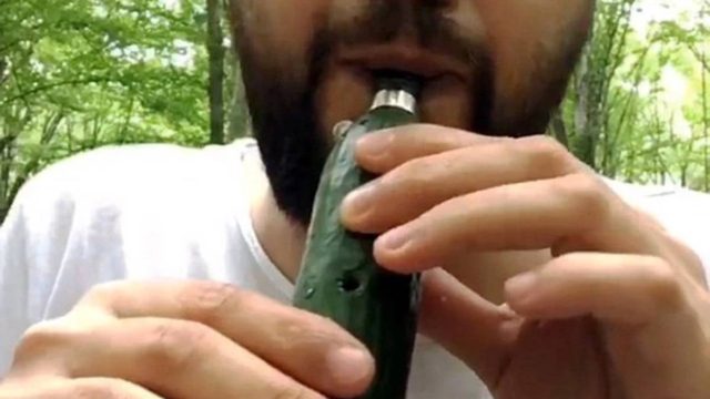 Δεν είναι μόνο για σαλάτα: Καλλιτέχνης παίζει κλαρίνο με ένα αγγούρι! (Video)