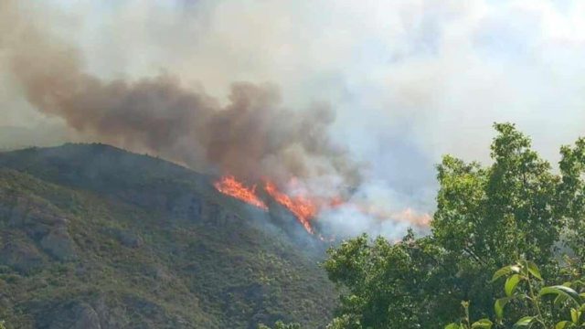 Φωτιά στην Αιγιαλεία: Εκκενώσεις δύο οικισμών – Έκλεισε η παλαιά εθνική οδός Πατρών-Κορίνθου