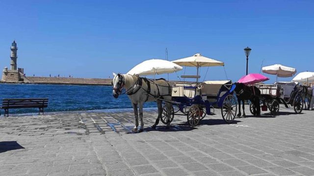 Θλιβερή εικόνα στα Χανία: Άλογα άμαξας περιμένουν τον επόμενο πελάτη εν μέσω καύσωνα