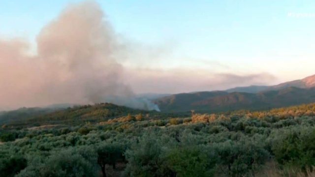 Πύρινη κόλαση και στην Ρόδο: Καίγεται πυκνό δάσος με πεύκα και κυπαρίσσια – H φωτιά ξεκίνησε από παλιό σκουπιδότοπο