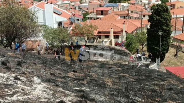 Νέο μέτωπο φωτιάς στη Βοιωτία – Στο Δίστομο επίγειες δυνάμεις (photos)