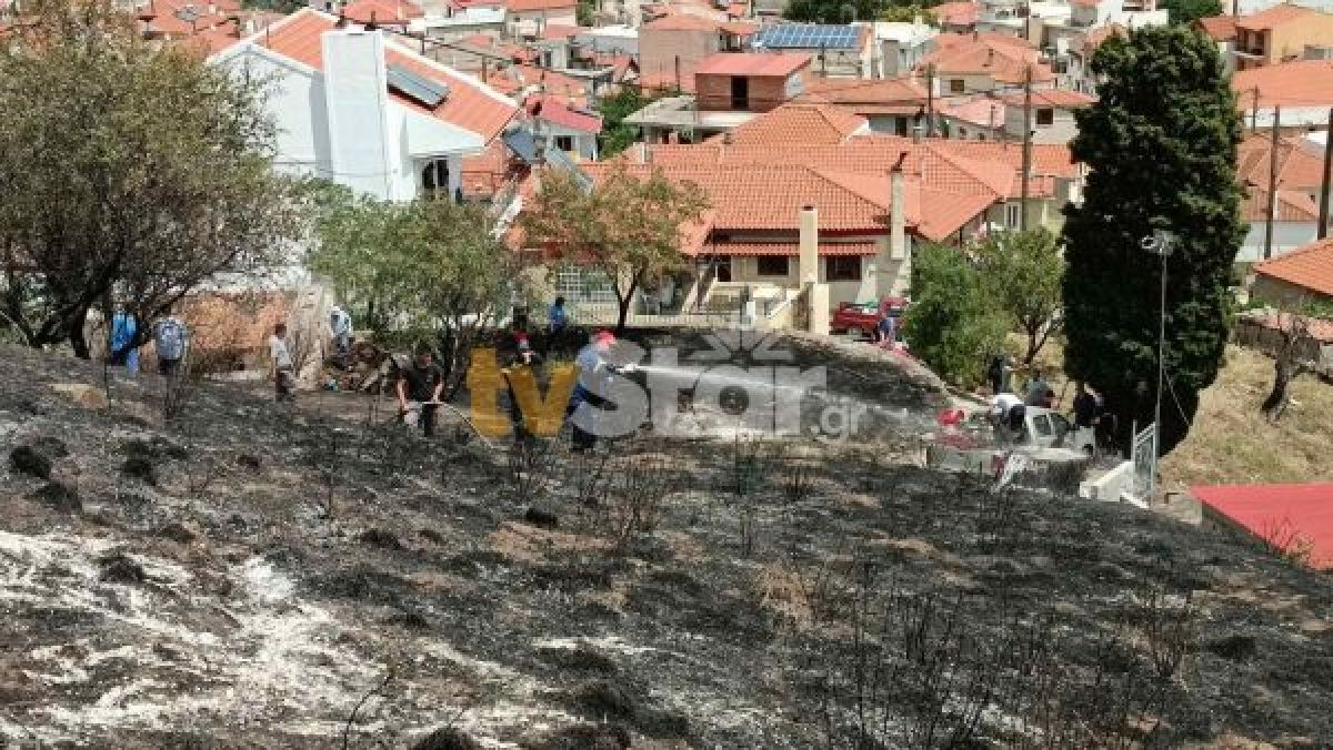 Νέο μέτωπο φωτιάς στη Βοιωτία – Στο Δίστομο επίγειες δυνάμεις (photos)