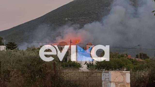Εύβοια: Φωτιά κοντά στο εργοστάσιο της ΔΕΗ