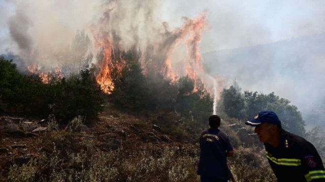 Φωτιά στα Δερβενοχώρια: «Πάμε, θα καούμε» – Βίντεο της ΕΛ.ΑΣ από τις επιχειρήσεις εκκένωσης στη Μάνδρα