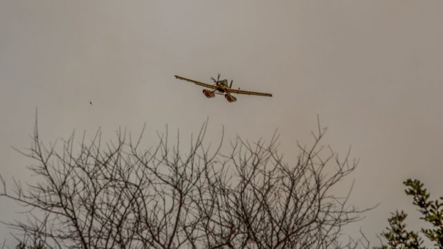 Φωτιά στον Δομοκό Φθιώτιδας – Συναγερμός στην Πυροσβεστική