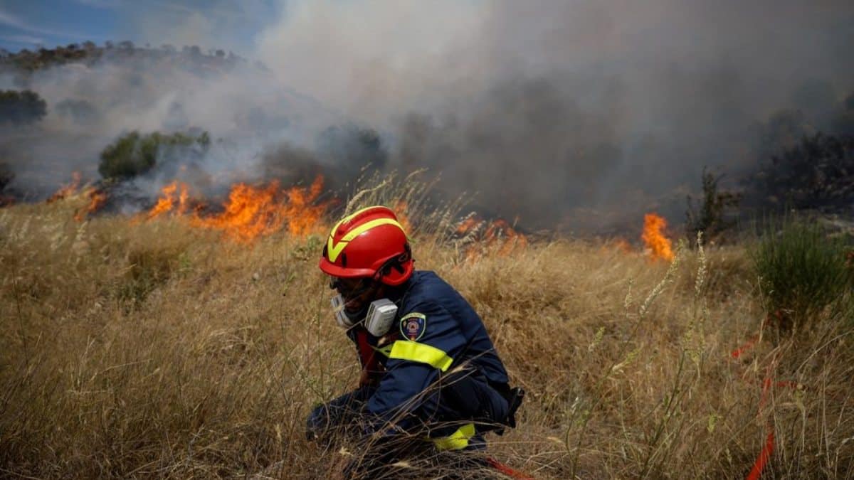 Μεγάλη φωτιά στην στην Εύβοια – Συναγερμός στην Πυροσβεστική