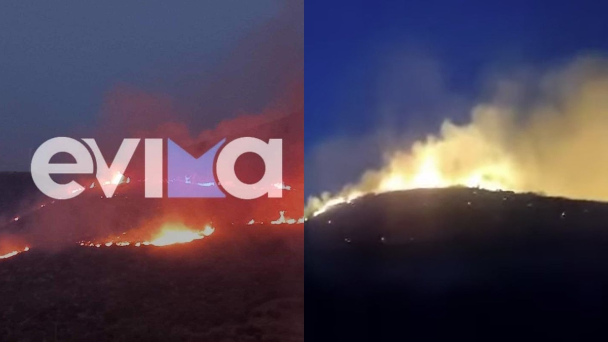 Φωτιά στην Εύβοια: Ολονύκτιο θρίλερ στο Αλιβέρι – Μάχη με τον χρόνο για τις πυροσβεστικές δυνάμεις (video)