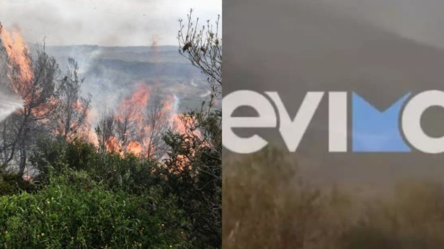 Δύο πύρινα μέτωπα σε Εύβοια και Τύρναβο – Μάχη με τις φλόγες για να μην καούν δασικές εκτάσεις