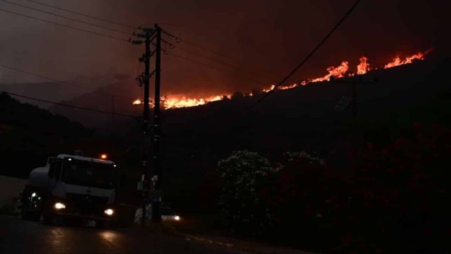 «Καήκαμε τέλος! Μόνο πένθος, θλίψη και οργή για τον άδικο χαμό τόσων ψυχών» – Στάχτη έγινε καταφύγιο στο Λαγονήσι – Γλίτωσαν ελάχιστα ζώα (photo)