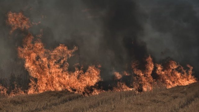 Φωτιά στην Καστοριά: Σε δύσκολο σημείο η επιχείρηση της Πυροσβεστικής – Ψηλά στο βουνό οι φλόγες (video)