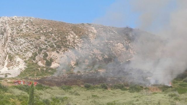 Φωτιά σε δασική έκταση στην Κεφαλονιά: Έφτασαν στα σπίτια οι φλόγες – Μεγάλη κινητοποίηση της Πυροσβεστικής (video)