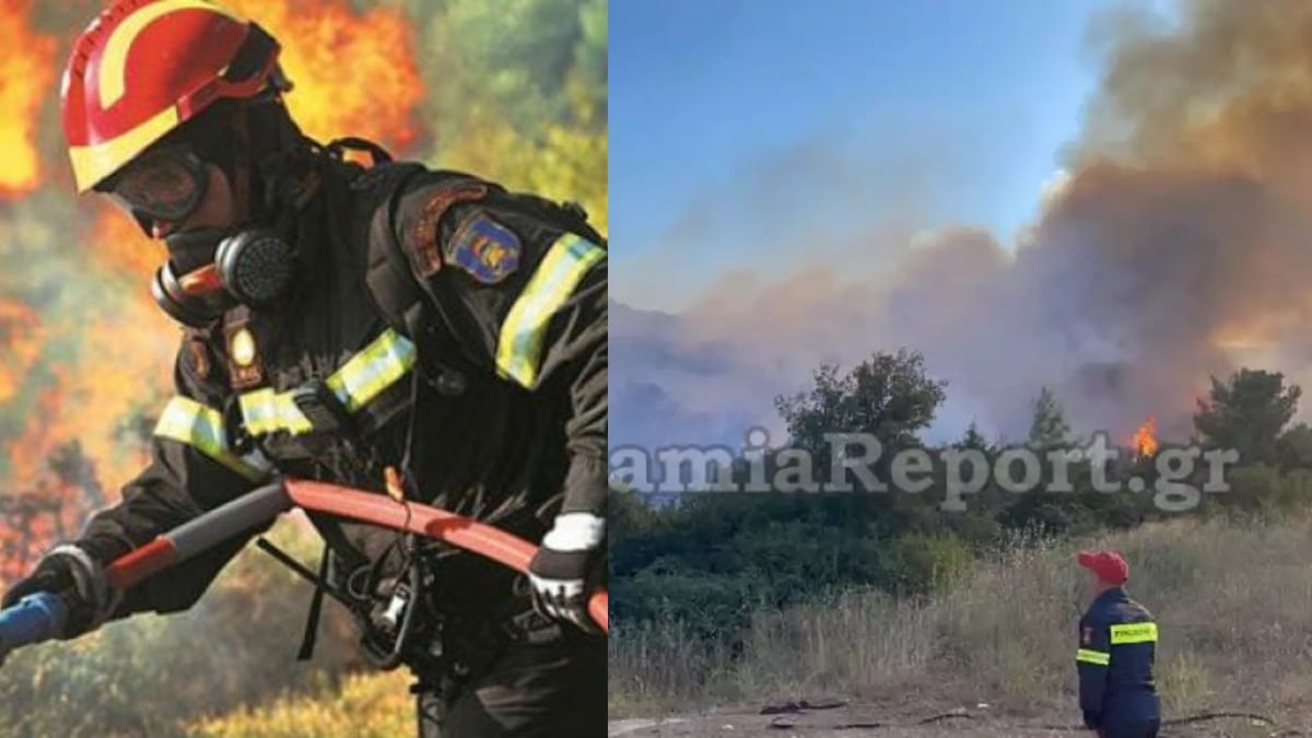 Λαμία: Φωτιά σε δάσος κοντά στο Προφήτη Ηλία – Ισχυροί άνεμοι δυσκολεύουν το έργο της Πυροσβεστικής