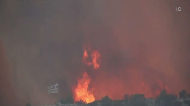 Φωτιά στο Λουτράκι: Στις φλόγες σπίτια, νέες εντολές εκκένωσης! Έκλεισε η παλαιά και η νέα Εθνική οδός από Αγίους Θεοδώρους έως κόμβο Επιδαύρου – Κραυγή αγωνίας από τον δήμαρχο (Video)
