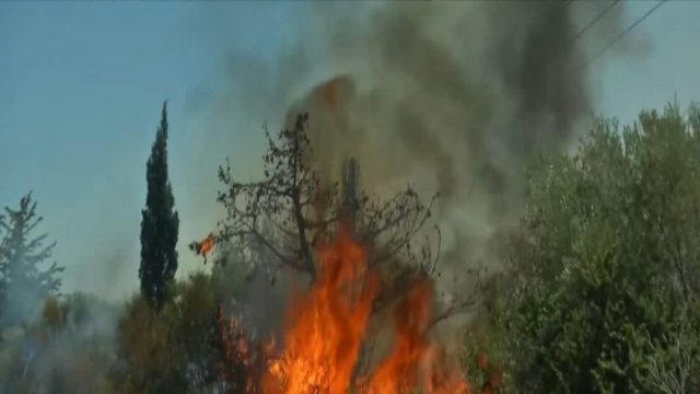 Φωτιά στο Λουτράκι: Έκλεισε η Εθνική Οδός Αθηνών-Κορίνθου και στα δύο ρεύματα – Προς Καλαμάκι κινείται η πύρινη λαίλαπα (Video)