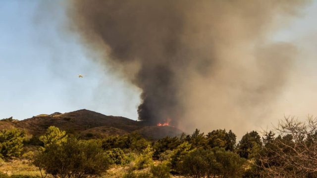 Φωτιά κοντά στο Βελεστίνο Μαγνησίας – Ισχυροί άνεμοι και θερμοκρασία κοντά στους 46 βαθμούς