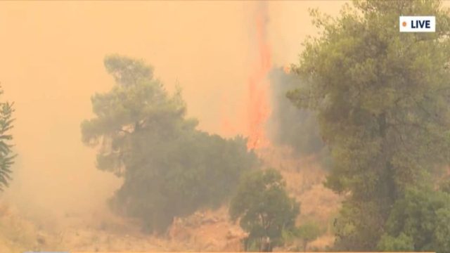 «Μας έχουν αφήσει στο έλεος του Θεού! Δεν υπάρχει αεροπλάνο ούτε πυροσβέστης» – Κραυγή αγωνίας κατοίκου Μάνδρας μέσα στον “εφιάλτη” της πύρινης λαίλαπας (Video)