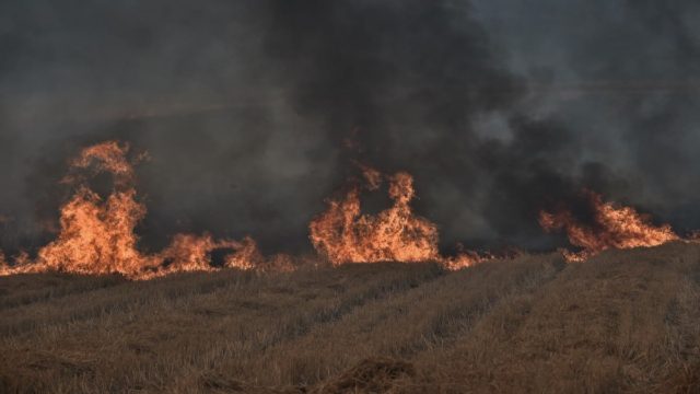 Φωτιά στη Μεσσηνία – Άμεση κινητοποίηση της Πυροσβεστικής