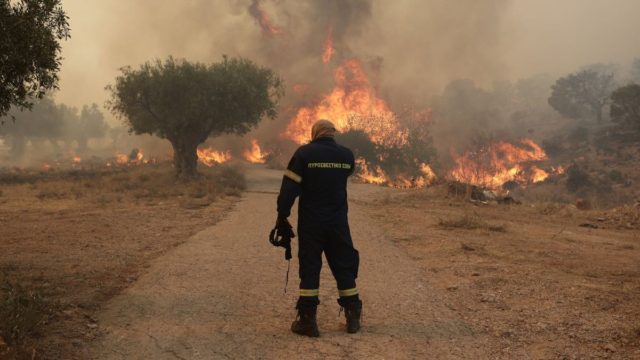 Φωτιά στη Μεσσηνία: «Με εξιτάρουν οι ρίψεις από τα εναέρια» είπε ο 30χρονος εμπρηστής – Είχε συλληφθεί και το 2022