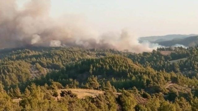 Φωτιά και στη Ρόδο – Καίγεται πυκνό δάσος