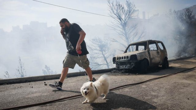 «Νιώθουν την αγωνία, το άγχος, την απόγνωση… καίγονται ζωντανά»: Θλίψη για το καταφύγιο ζώων κάηκε στο Λαγονήσι