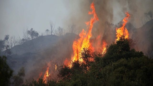 Φωτιά στη Θήβα – Κοντά σε σπίτια οι φλόγες