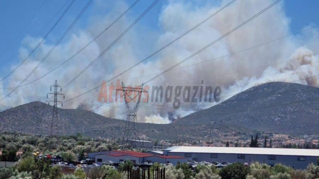 Το Athensmagazine.gr στη μάχη με τις φλόγες στο Νέο Κουβαρά – Eκκενώνεται μοναστήρι και ο οικισμός Πέτα! Αποκλειστικές φωτογραφίες και βίντεο