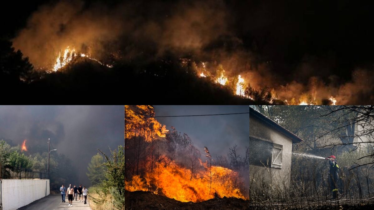Πύρινα μέτωπα σε Λαμία και Τιθορέα: Κάηκαν σπίτια – Εκκενώθηκαν οικισμοί – Στο νοσοκομείο 4 άτομα με αναπνευστικά προβλήματα