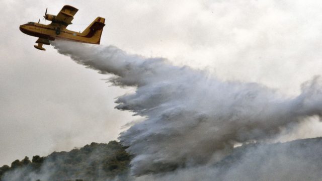 Φωτιά τώρα στην Αμαλιάδα – Άμεση κινητοποίηση των πυροσβεστικών δυνάμεων