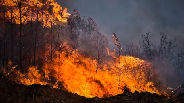 Σε πύρινο «κλοιό» ο Βόλος: Δύο νεκροί από τις φωτιές στη Μαγνησία – Οι εκκενώσεις συνεχίζονται (video & photos)