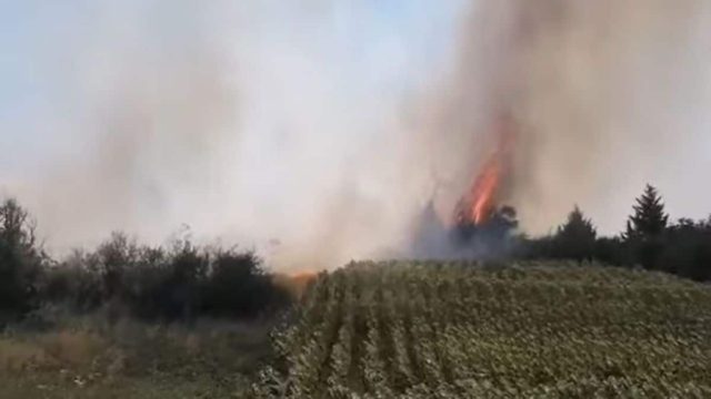 Φωτιά στο Διδυμότειχο δίπλα σε σπίτια – Κινητοποίηση της Πυροσβεστικής (photos)
