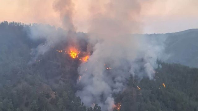 Φωτιά στο κρατικό δάσος Πάφου – Μια «ανάσα» από ιστορικό μοναστήρι – «Η Παναγία μας να βοηθήσει» (video)