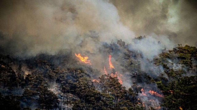 «Κρατάει» το μέτωπο στα Δερβενοχώρια με διάσπαρτες εστίες – Σε ύφεση οι πυρκαγιές σε Ρόδο και Λουτράκι (video)