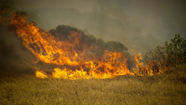 Πυρκαγιά στη Ρόδο: Μήνυση για εμπρησμό από πρόθεση των δασών της Ρόδου θα υποβάλει ο δήμαρχος – Ποια αδικήματα θα αφορά