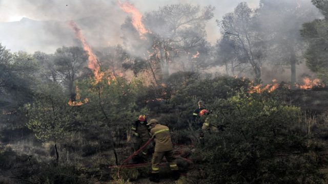 Μεγάλη φωτιά καίει δάσος της Σάμου – Κινητοποιήθηκαν επίγειες και εναέριες δυνάμεις της Πυροσβεστικής