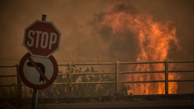Φωτιά στην Τανάγρα Βοιωτίας – Μεγάλη κινητοποίηση από την Πυροσβεστική