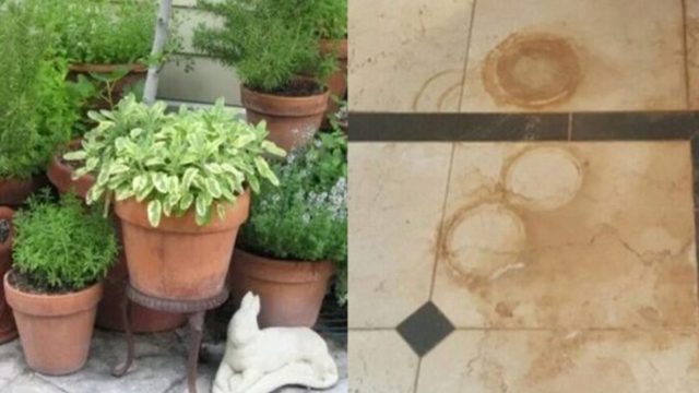 Λεκέδες από γλάστρες: Mε 2 υλικά που δεν πάει ο νους σας, φτιάξτε το πανίσχυρο καθαριστικό που τους εξαφανίζει