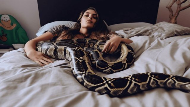 Ο ύπνος 28χρονης με τον πύθωνα της φαινόταν ακίνδυνος στην αρχή – Μια επίσκεψη στον κτηνίατρο άλλαξε τα πάντα
