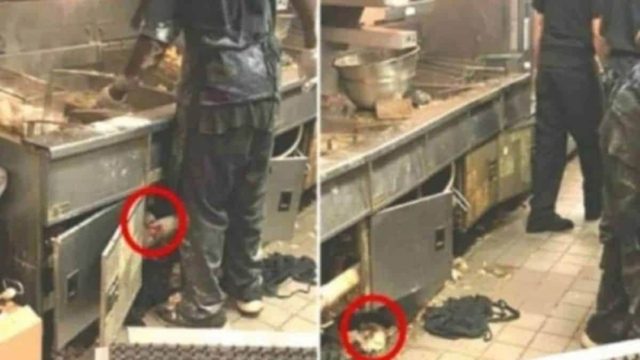 Έβαλαν κρυφή κάμερα στην κουζίνα γνωστού εστιατορίου: Θα αηδιάσετε με αυτό που θα δείτε!