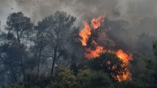 Μεγάλη φωτιά στη Μυτιλήνη – Τεράστια επιχείρηση της Πυροσβεστικής