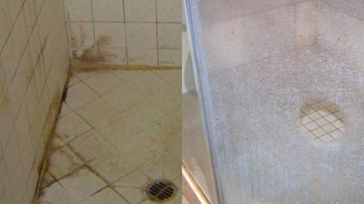 Με 0.70 λεπτά: Το καθαριστικό που εξοντώνει τη μούχλα και κάνει λαμπίκο το σπίτι