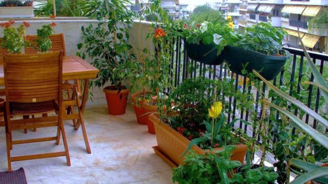 Λεκέδες και σκουριά από κασπό και γλάστρες: Το εύκολο tip για να εξαφανίσετε τις στάμπες από το μπαλκόνι
