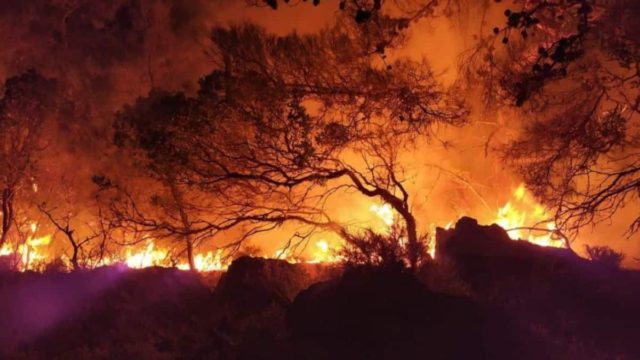 Ολονύχτια μάχη με τις φλόγες στη Βοιωτία: Εκκενώθηκε ο οικισμός Πρόδρομος – Καίει σε δύο μέτωπα η φωτιά (videos)