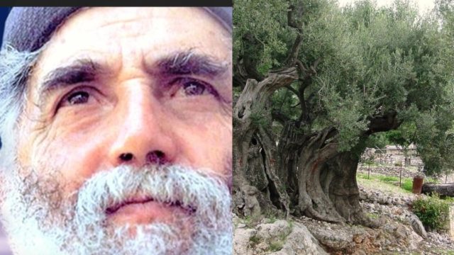 «Ορυμαγδός» με τον Άγιο Παΐσιο: «Θα βγει μεγάλο κακό…» – Η προφητεία με την ελιά και το μελανό μέλλον της χώρας