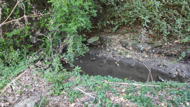 Σοκ στην Κρήτη: Σκύλος ήπιε νερό από ρυάκι και ξεψύχησε από δηλητηρίαση – Τι απαντά ο δήμαρχος (video)
