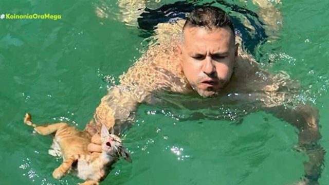Το πιο συγκινητικό βίντεο: Μέλος πληρώματος ferry boat στη Σαλαμίνα βούτηξε και έσωσε γατάκι που πνιγόταν