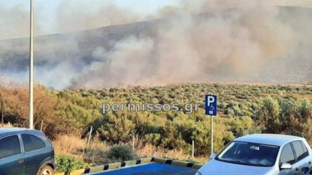 Φωτιά στον Πρόδρομο Βοιωτίας – Μήνυμα 112 στους κατοίκους της περιοχής
