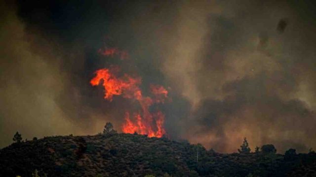 «Πείτε στους Έλληνες να λυπηθούν τη χώρα, είναι κρίμα να την πυρπολεί κάποιος – Η Ελλάδα δε θα γίνει Ντουμπάι»