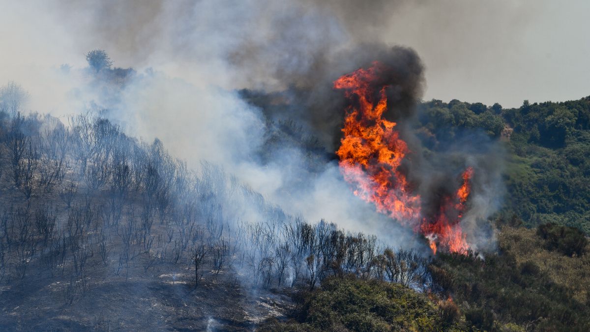 Προσοχή: Υψηλός κίνδυνος πυρκαγιάς, αύριο 14/7 – Ποιες περιοχές κινδυνεύουν