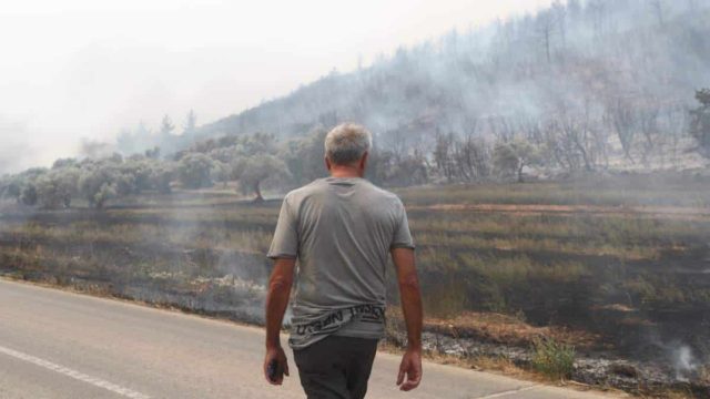 Φωτιά στον Έβρο: 12η μέρα μάχης με τις φλόγες – Συνεχίζεται η τεράστια οικολογική καταστροφή – Η επόμενη ημέρα