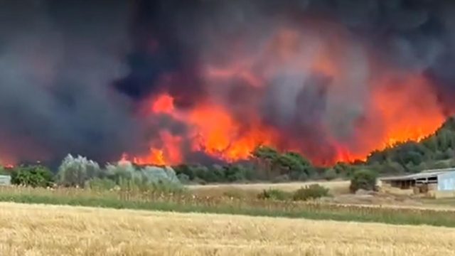 Φωτιά στην Αλεξανδρούπολη: Ανεξέλεγκτο το μέτωπο – Ενισχύθηκαν ξανά οι άνεμοι